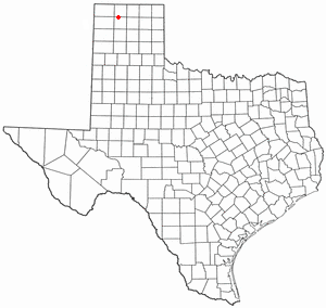  T X Map-doton- Cactus