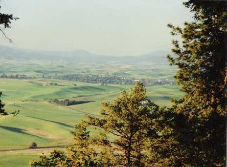  View of Palouse, Washington from Kamiak Butte